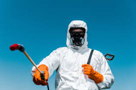 Best Bed Bug Extermination  in Dolan Springs, AZ